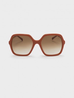 Charles & Keith Acetate Braided Temple Butterfly Sunglasses Clay | IOUV78150