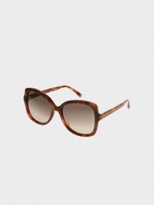 Charles & Keith Acetate Butterfly Sunglasses | CPUX86459
