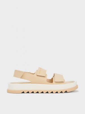 Charles & Keith Buckled Sports Sandals Braun | YBMK92165