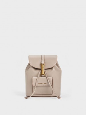 Charles & Keith Cesia Metallic Accent Backpack Grau Braun | YTLI26395