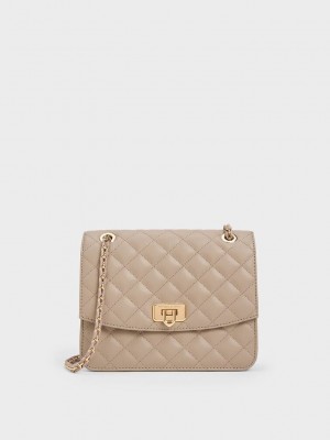 Charles & Keith Cressida Gesteppt Chain Riemen Bag Grau Braun | VKWR24870