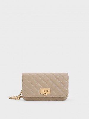 Charles & Keith Cressida Gesteppt Push-Lock Clutch Grau Braun | PIVO58463