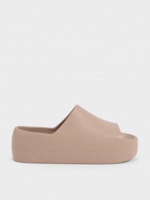 Charles & Keith Morgan Plattform Badelatschen Sandals Braun | OECF92483