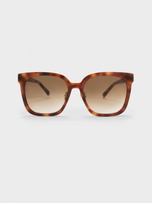 Charles & Keith Open Wire Square Acetate Sunglasses | KPRL20491