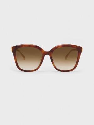 Charles & Keith Oversized Square Acetate Sunglasses | MOJI78415