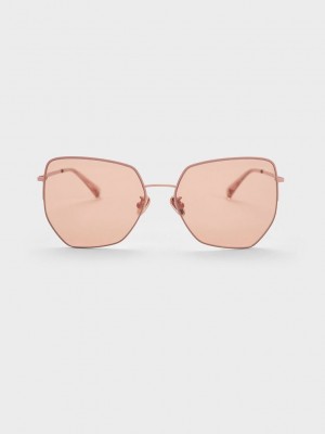 Charles & Keith Recycled Acetate Butterfly Sunglasses Rosa | LICF10657