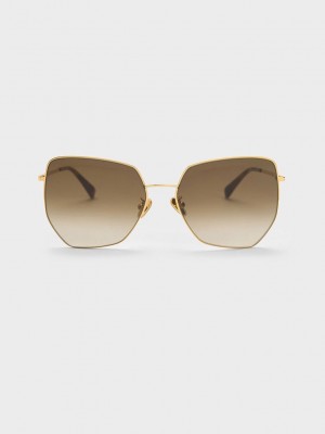 Charles & Keith Recycled Acetate Butterfly Sunglasses Gold | ZXTU83167
