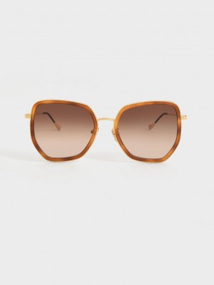 Charles & Keith Recycled Acetate Butterfly Sunglasses | ULGF83570
