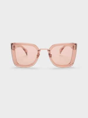 Charles & Keith Recycled Acetate Geometric Butterfly Sunglasses Rosa | BMIN50378