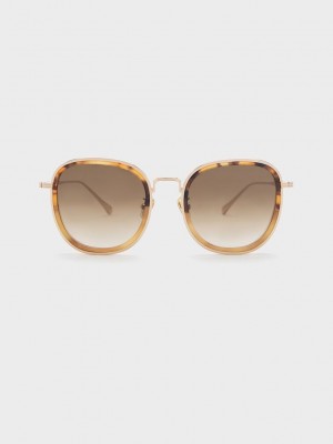 Charles & Keith Recycled Acetate Metallic-Rim Sunglasses | PIWY78692