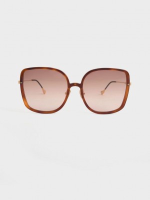 Charles & Keith Recycled Acetate Oversized Square Sunglasses | OFQB73456