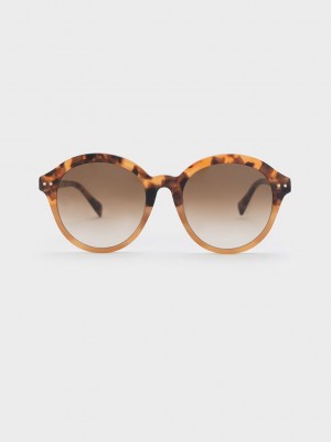 Charles & Keith Recycled Acetate Round Cat-Eye Sunglasses | HEKG76845