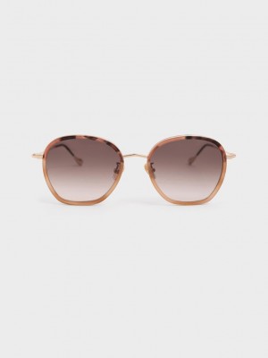 Charles & Keith Recycled Acetate Wire-Frame Sunglasses Rosa | FYTV30458