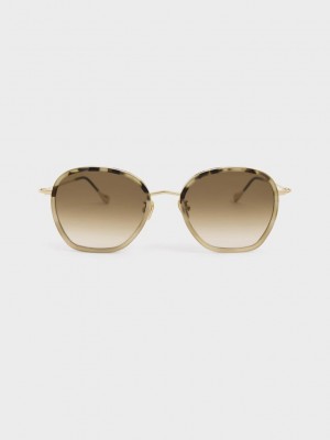 Charles & Keith Recycled Acetate Wire-Frame Sunglasses Grau Braun | RKDO69307