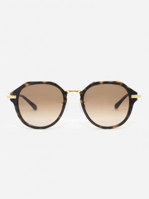 Charles & Keith Solana Angular Oval Sunglasses | OUDP32481