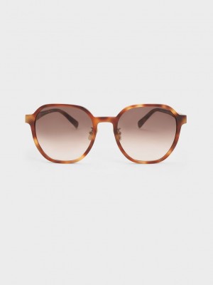 Charles & Keith Square Recycled Acetate Sunglasses | TUCB94320