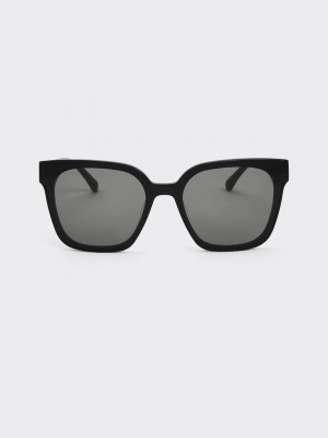 Charles & Keith Square Thick-Frame Sunglasses Schwarz | PVRF45963
