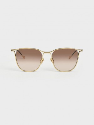 Charles & Keith Two-Tone Wire Frame Butterfly Sunglasses Gold | MYKU24561