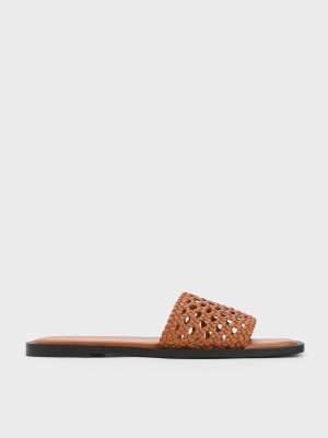 Charles & Keith Woven Square-Kappe Slides Braun | ASIV78642